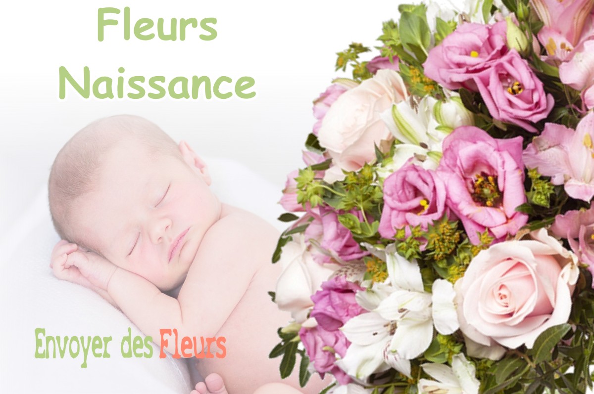 lIVRAISON FLEURS NAISSANCE à CORNILLON-CONFOUX